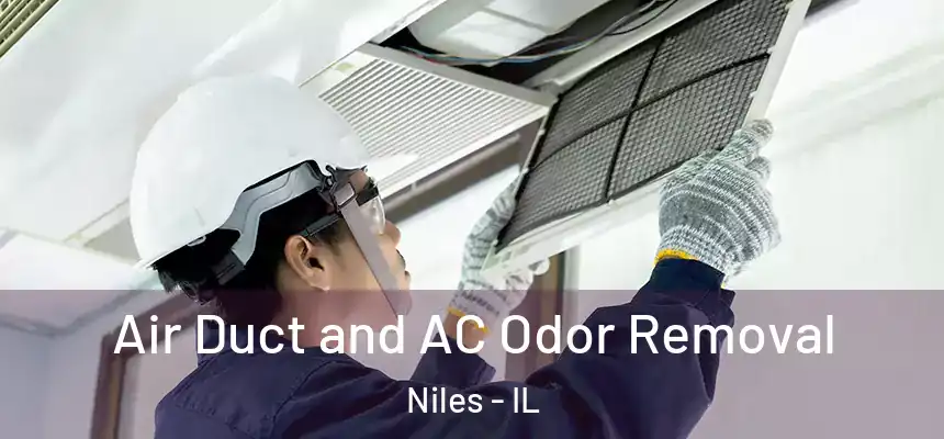 Air Duct and AC Odor Removal Niles - IL
