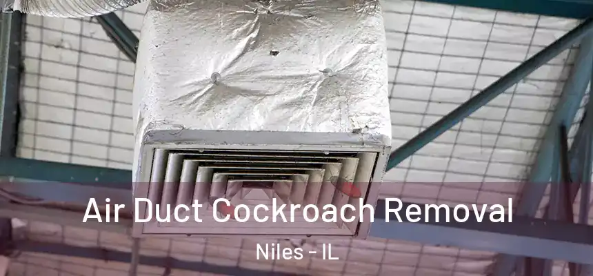  Air Duct Cockroach Removal Niles - IL