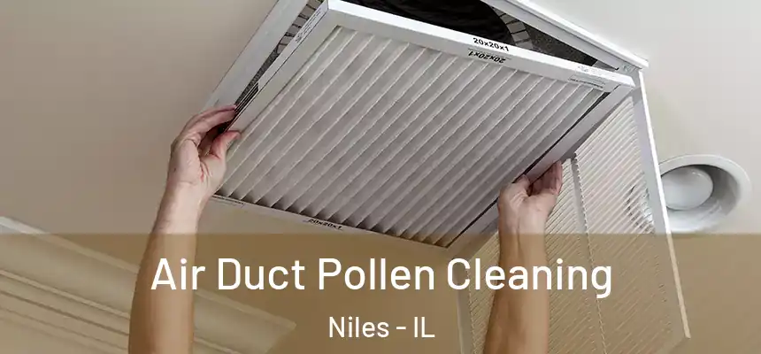 Air Duct Pollen Cleaning Niles - IL