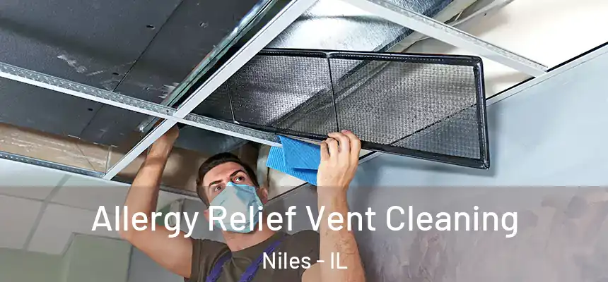 Allergy Relief Vent Cleaning Niles - IL