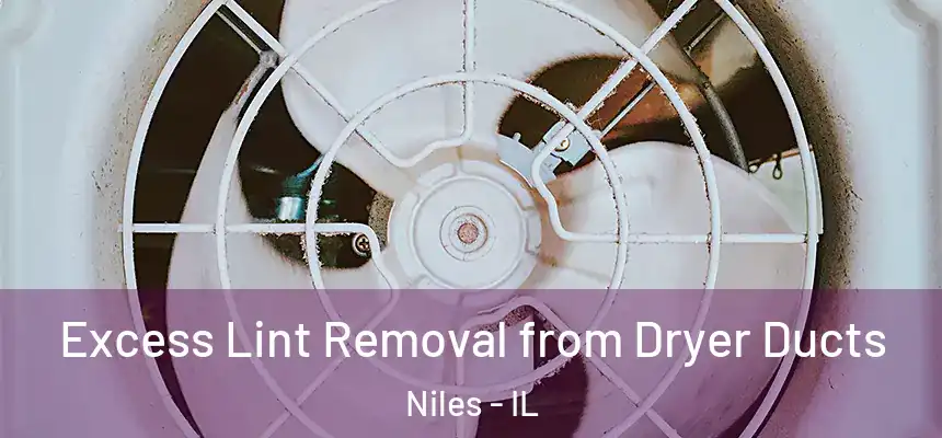 Excess Lint Removal from Dryer Ducts Niles - IL