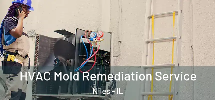 HVAC Mold Remediation Service Niles - IL