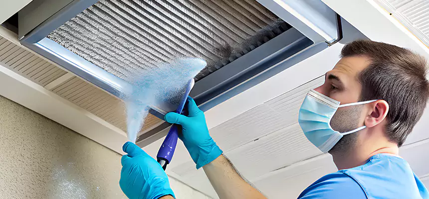 Proactive Dryer Vent & Auxiliary Duct Pollen Cleanup in Niles, IL