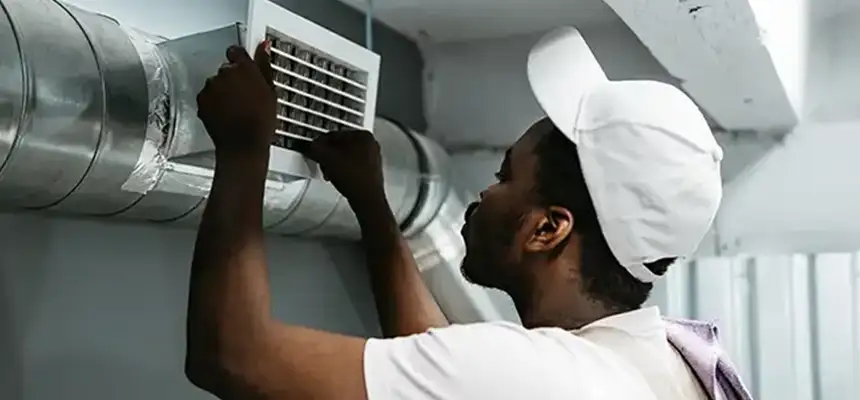 Our Licensed And Insured Cleaners in Niles, IL