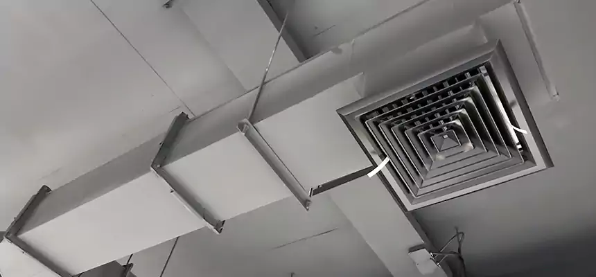 Our Rodent Droppings In Vents Services in Niles, IL