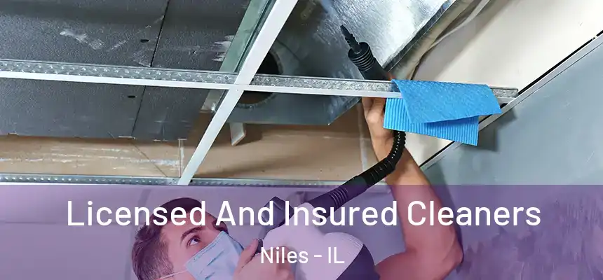 Licensed And Insured Cleaners Niles - IL