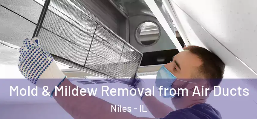 Mold & Mildew Removal from Air Ducts Niles - IL