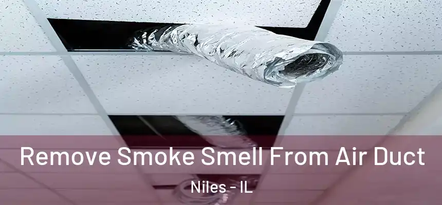 Remove Smoke Smell From Air Duct Niles - IL