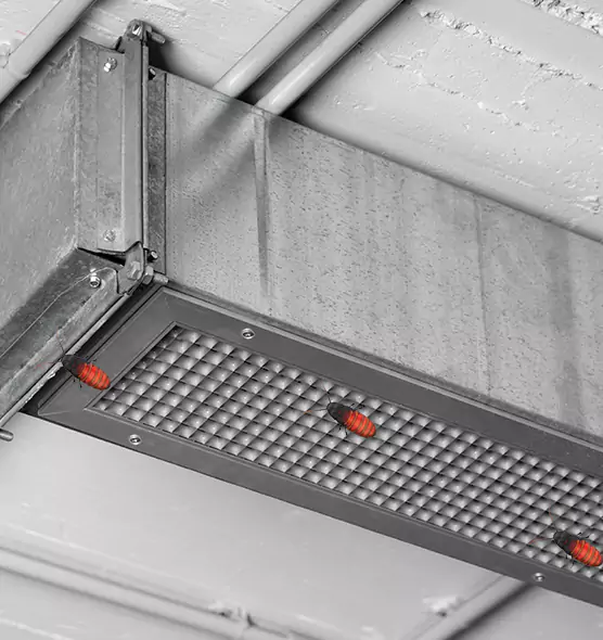 About Air Duct Cockroach Removal in Niles, IL