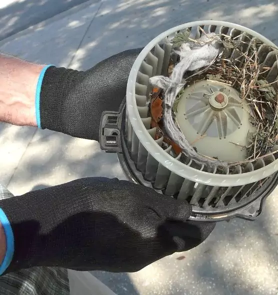 About Air Duct Mice Removal in Niles, IL