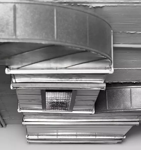 Professional Air Duct Pest Removal in Niles, IL