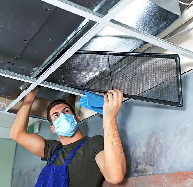 Why Homeowners Businesses Trust Us in Niles, IL