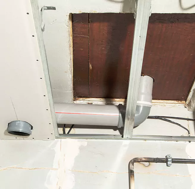 Why Homeowners & Businesses Trust Us in Niles, IL?