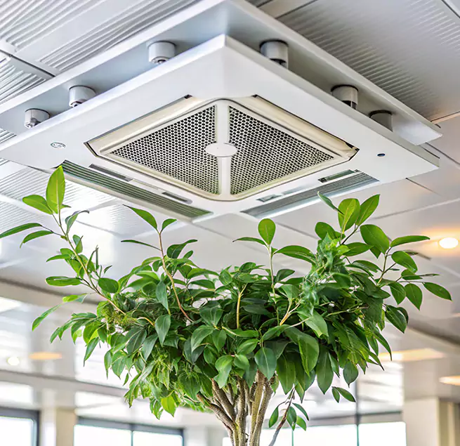 Why Homeowners & Businesses Trust Us in Niles, IL?