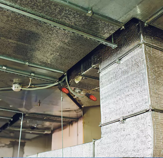 Why Homeowners & Businesses Trust Us Niles, IL?