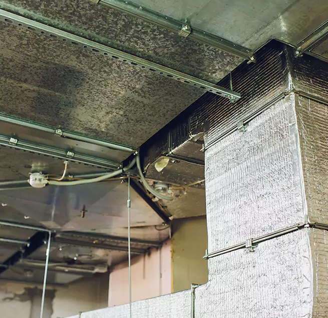 Why Homeowners & Businesses Trust Us in Niles, IL?