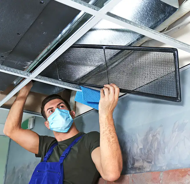 Why Homeowners & Businesses Trust Us in Niles, IL?