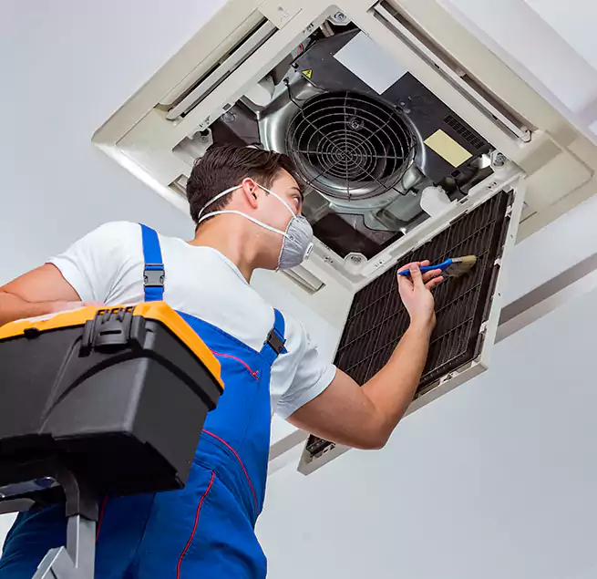 Why Homeowners & Businesses Trust Us in Niles, IL?